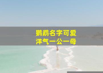 鹦鹉名字可爱洋气一公一母