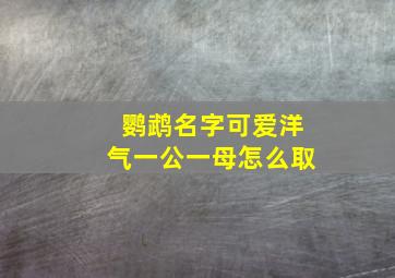 鹦鹉名字可爱洋气一公一母怎么取