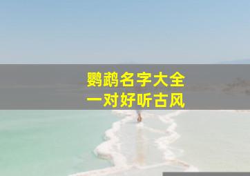 鹦鹉名字大全一对好听古风