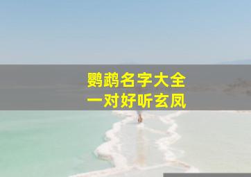 鹦鹉名字大全一对好听玄凤