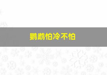 鹦鹉怕冷不怕