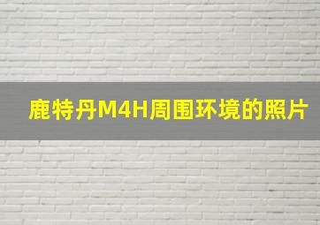 鹿特丹M4H周围环境的照片