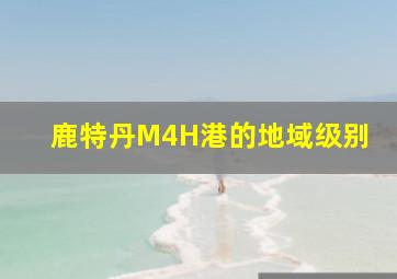 鹿特丹M4H港的地域级别