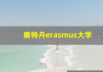 鹿特丹erasmus大学