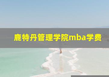 鹿特丹管理学院mba学费