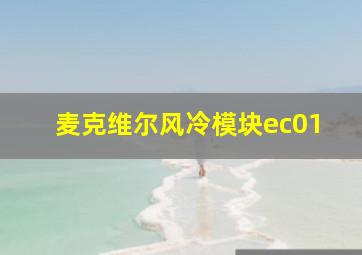 麦克维尔风冷模块ec01