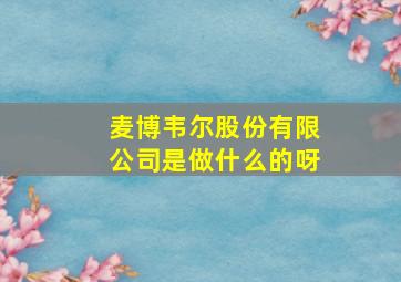 麦博韦尔股份有限公司是做什么的呀