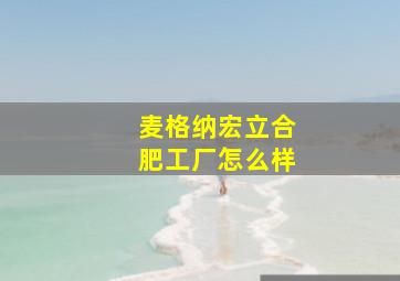 麦格纳宏立合肥工厂怎么样