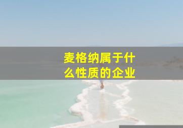 麦格纳属于什么性质的企业