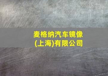 麦格纳汽车镜像(上海)有限公司