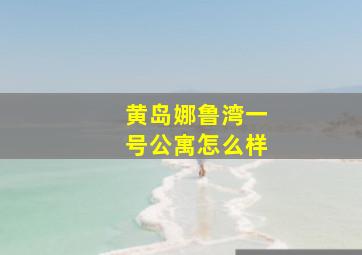 黄岛娜鲁湾一号公寓怎么样