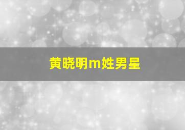 黄晓明m姓男星