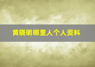 黄晓明哪里人个人资料