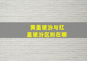 黄盖玻汾与红盖玻汾区别在哪