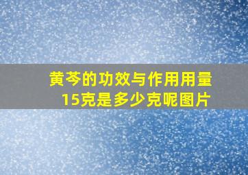 黄芩的功效与作用用量15克是多少克呢图片