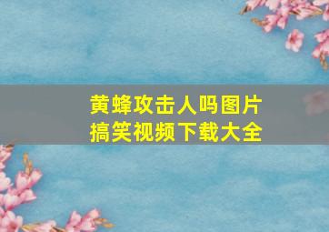 黄蜂攻击人吗图片搞笑视频下载大全