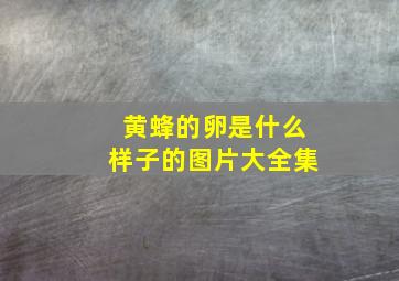 黄蜂的卵是什么样子的图片大全集