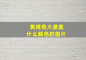 黄褐色大便是什么颜色的图片