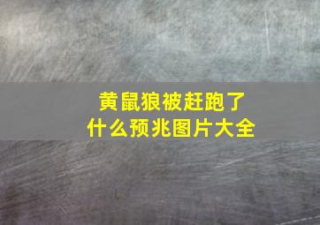 黄鼠狼被赶跑了什么预兆图片大全