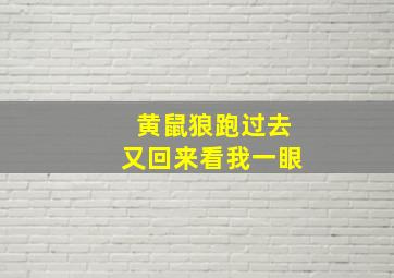 黄鼠狼跑过去又回来看我一眼