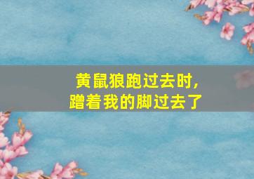 黄鼠狼跑过去时,蹭着我的脚过去了