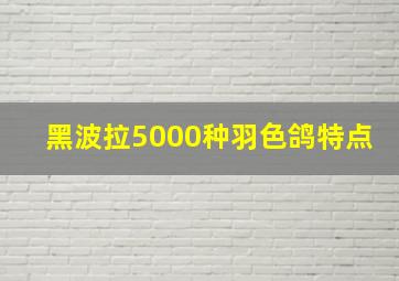 黑波拉5000种羽色鸽特点