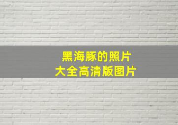 黑海豚的照片大全高清版图片