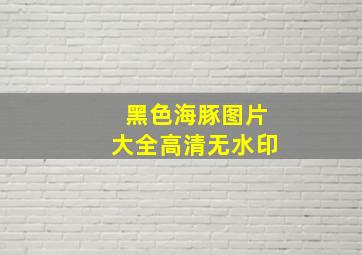 黑色海豚图片大全高清无水印