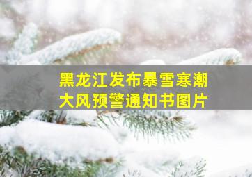 黑龙江发布暴雪寒潮大风预警通知书图片