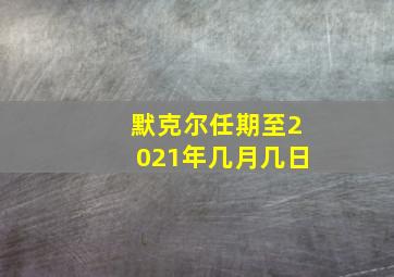 默克尔任期至2021年几月几日