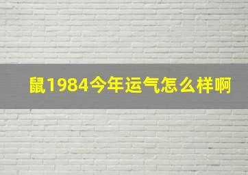 鼠1984今年运气怎么样啊