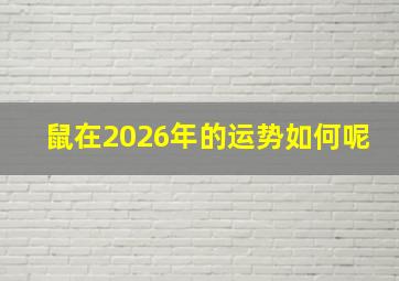 鼠在2026年的运势如何呢