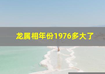 龙属相年份1976多大了