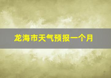 龙海市天气预报一个月