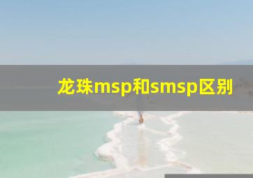 龙珠msp和smsp区别