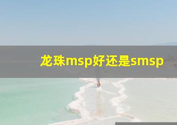 龙珠msp好还是smsp