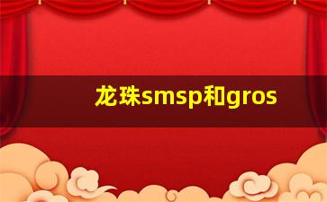 龙珠smsp和gros