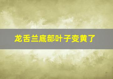 龙舌兰底部叶子变黄了