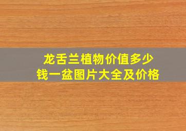 龙舌兰植物价值多少钱一盆图片大全及价格