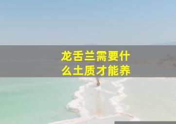 龙舌兰需要什么土质才能养