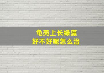 龟壳上长绿藻好不好呢怎么治