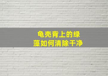 龟壳背上的绿藻如何清除干净