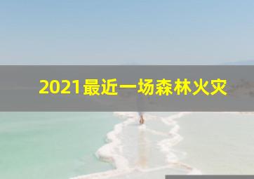 2021最近一场森林火灾