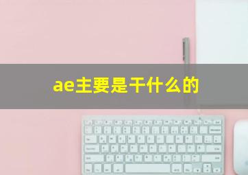 ae主要是干什么的