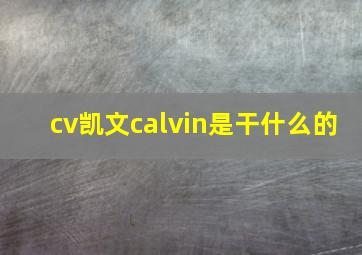 cv凯文calvin是干什么的