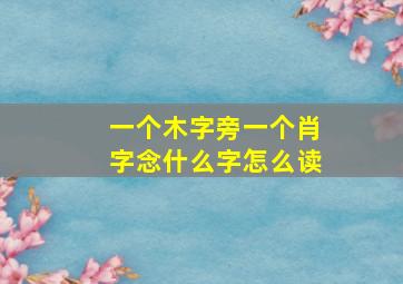 一个木字旁一个肖字念什么字怎么读