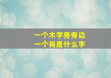 一个木字旁旁边一个肖是什么字