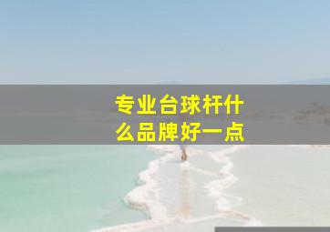 专业台球杆什么品牌好一点