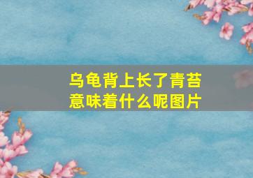 乌龟背上长了青苔意味着什么呢图片