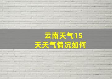 云南天气15天天气情况如何